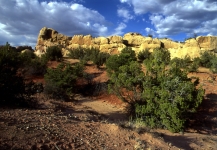 Ambush Rock Sandstone #2