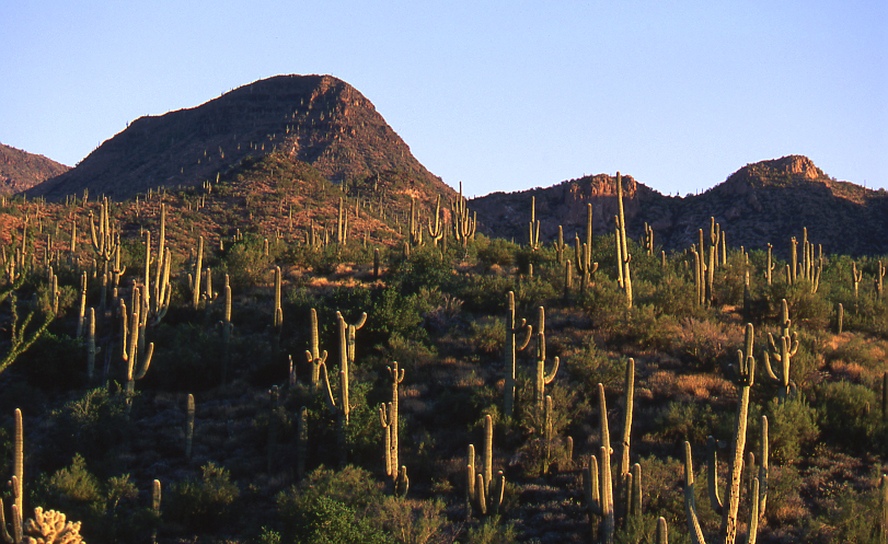 Cave Creek, Spur Cross Mountains