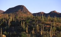 Cave Creek, Spur Cross Mtns.