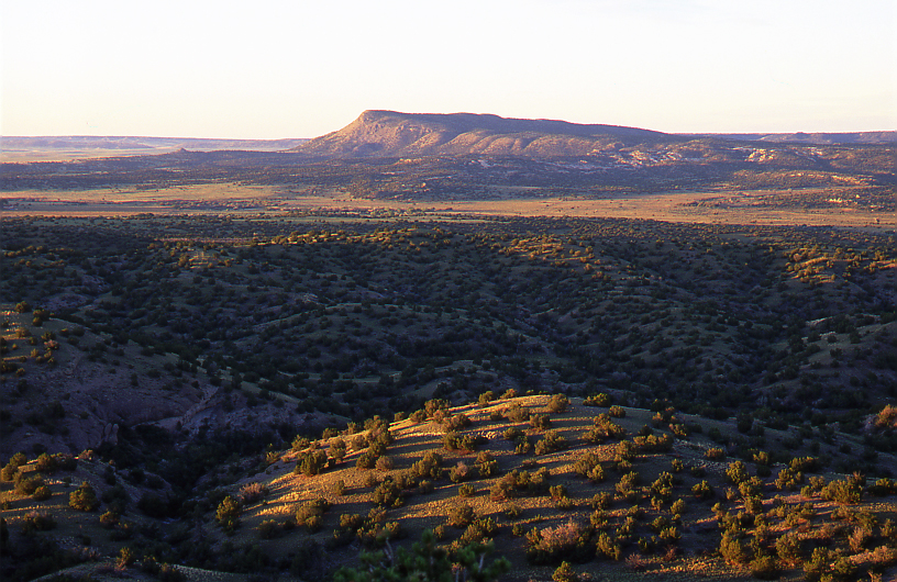 Cerro Pelon from Petroglyph Hill #15