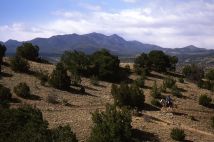 Windy Morning, Cerrillos Hills State Park