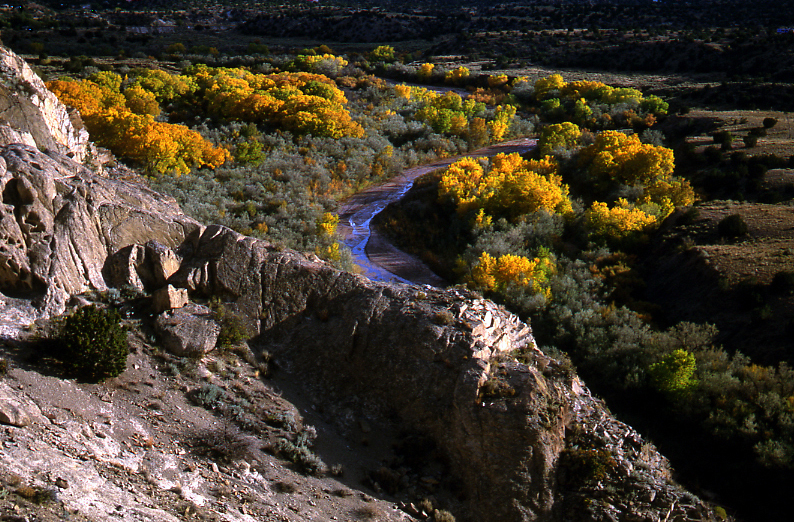 Galisteo Bosque at Sunset