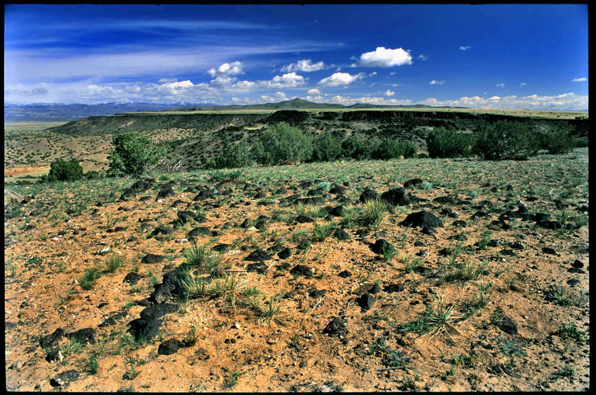La Bajada Mesa and Escarpment 2014