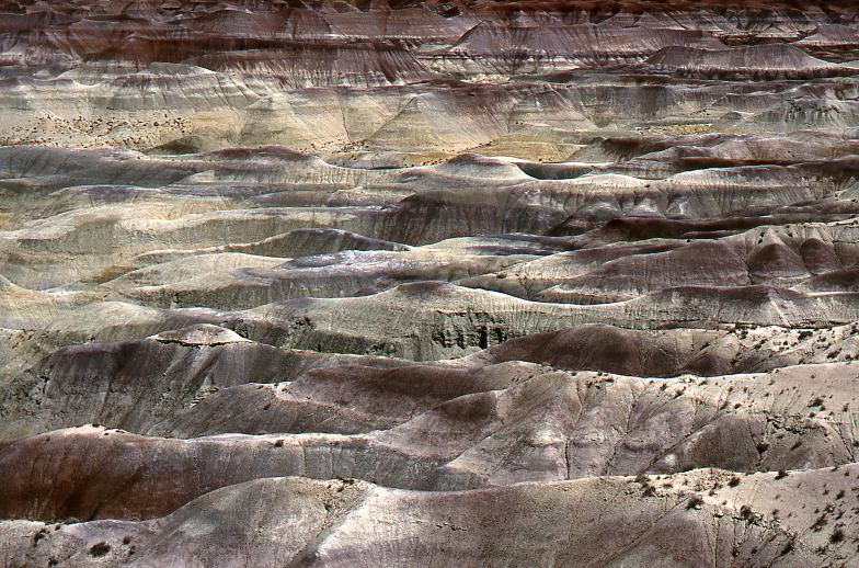 Little Painted Desert)