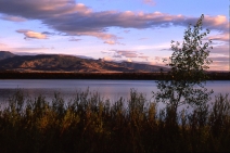 Miami Lake at Sunrise #3