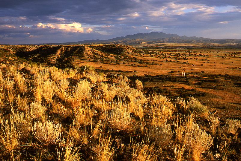 Ortiz Mountains from La Bajada Mesa