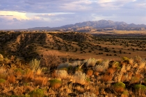 Ortiz Mtns. from La Bajada #2