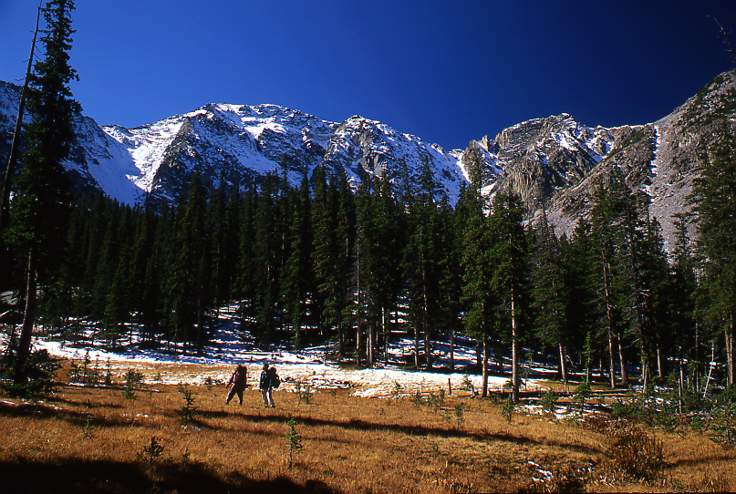 Gazing Towards the Creator 