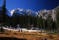 Gazing Towards the Creator