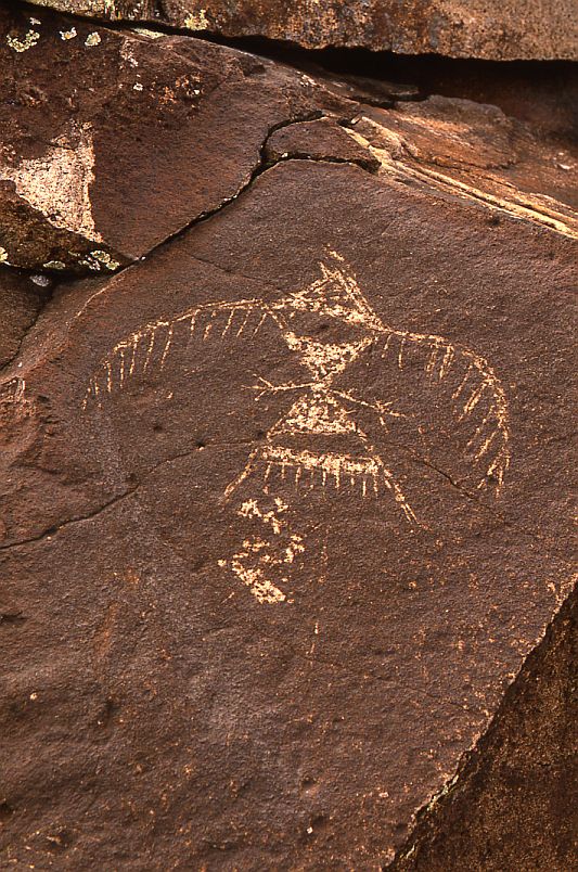 Eagle Dancer Petroglyph