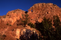 Window Rock Sandstone