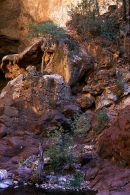 Tonto Natural Bridge