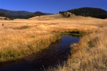 Valle San Antonio #4