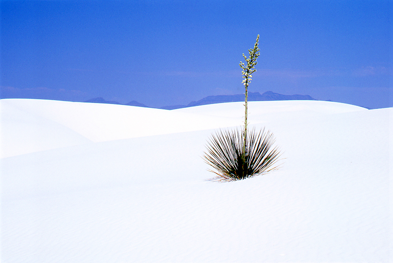 White Sands Near Midday